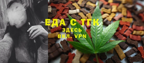 дживик Магас