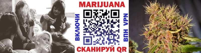 Купить где  Апшеронск  Канабис индика 